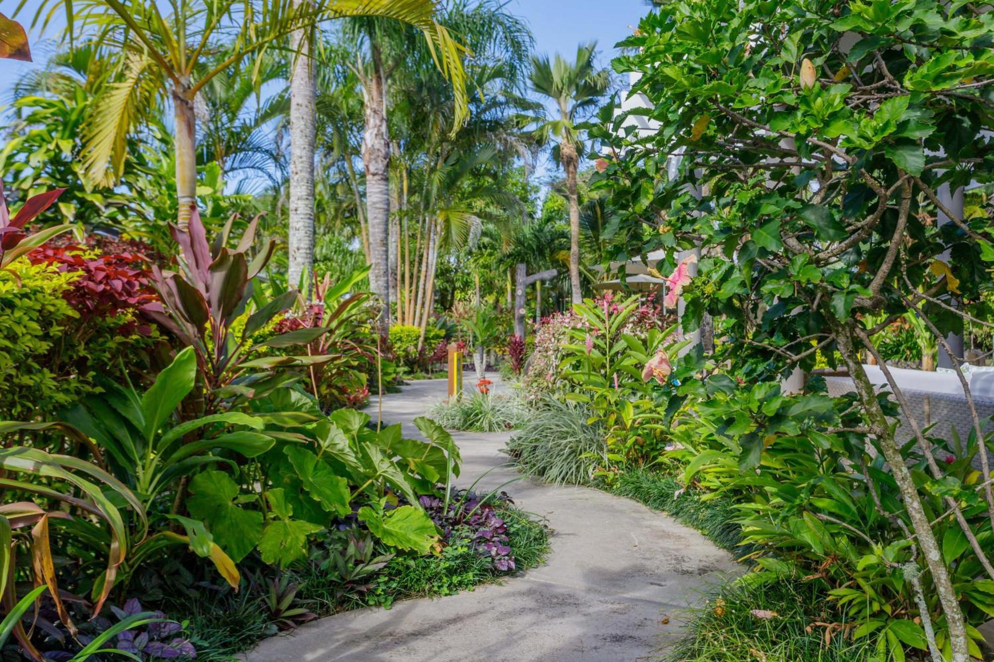Rarotonga Daydreamer Escape Esterno foto