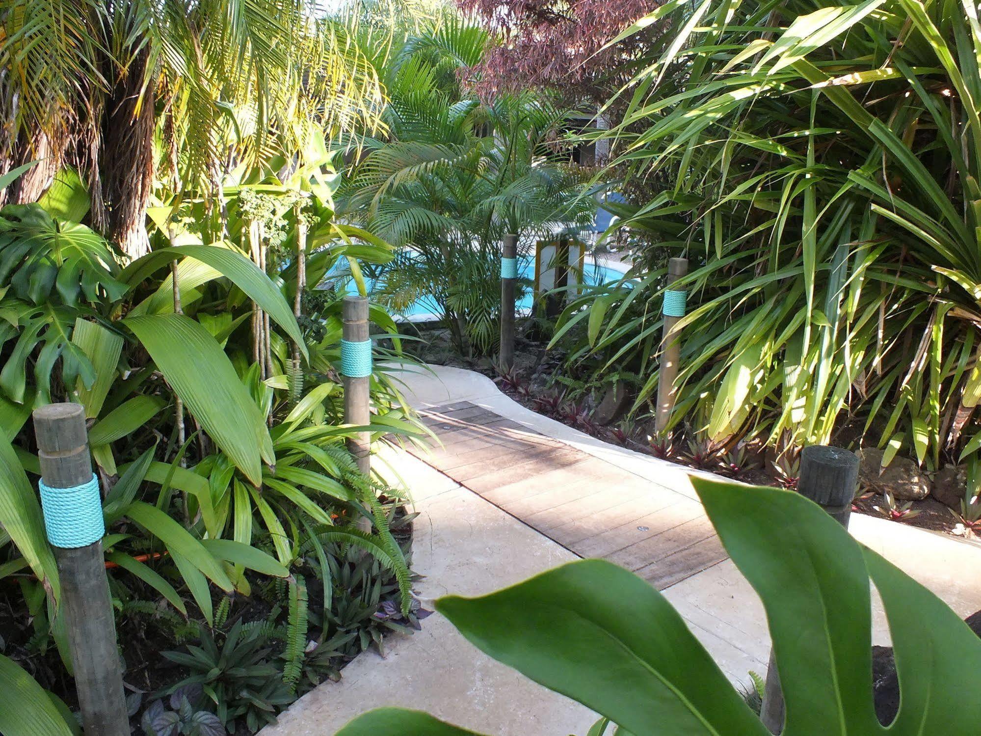 Rarotonga Daydreamer Escape Esterno foto